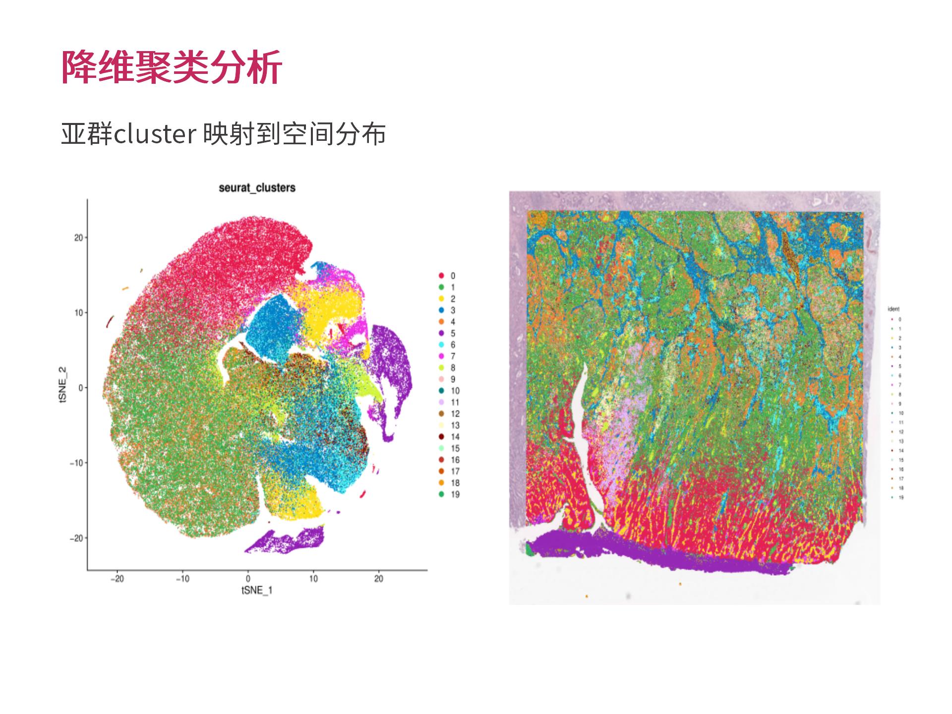 官网个性化生物信息分析 (2.25)--_10.jpg