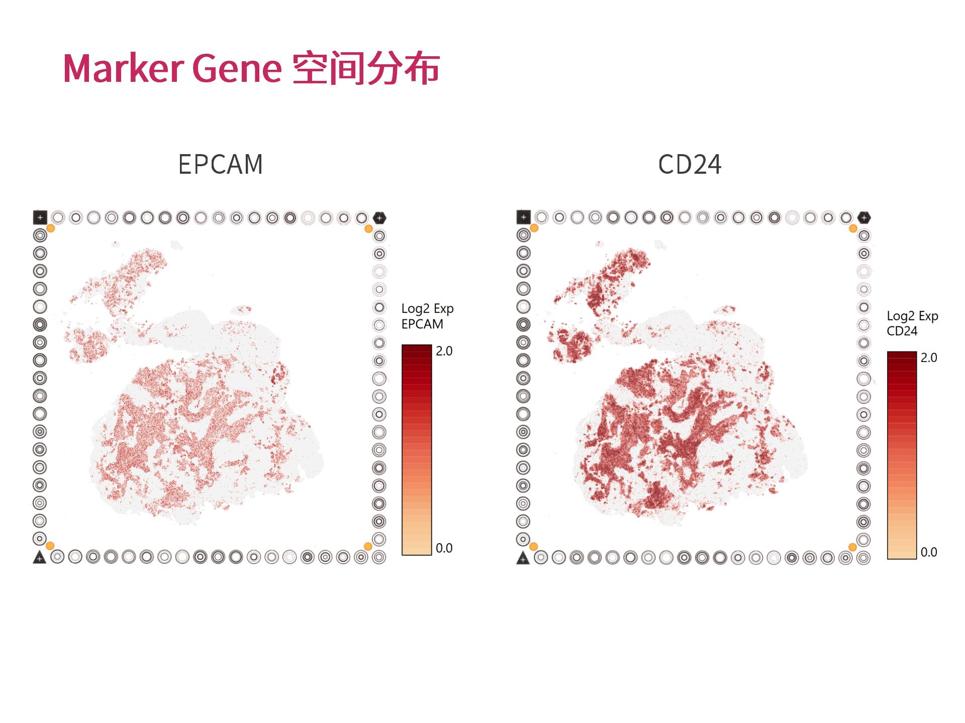 官网个性化生物信息分析 (2.25)--_11.jpg