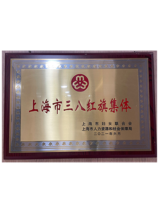08 上海市三八红旗集体.png